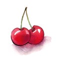 Cherry isolated on white background. Watercolor illustration of berries. Dessert sketch. Drawing for print on T-shirts. Red cherri Royalty Free Stock Photo